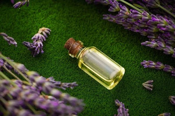 Glass Bottle Essence Lavender Another Flower Creating Perfume Background Green — Φωτογραφία Αρχείου
