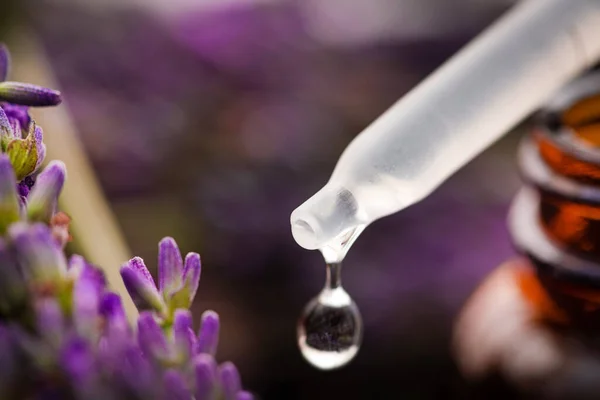 Closeup Lavander Oil Liquid Bottle Flowers Background Skin Care Aromatherapy — Φωτογραφία Αρχείου