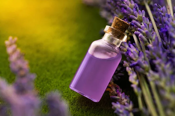 Glass Bottle Essence Lavender Another Flower Creating Perfume Background Green — Φωτογραφία Αρχείου
