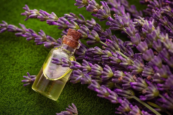 Glass Bottle Essence Lavender Another Flower Creating Perfume Background Green — Φωτογραφία Αρχείου