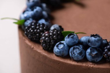 Sweet chocolate cake with forest berries, blackberry, blueberry on top. 