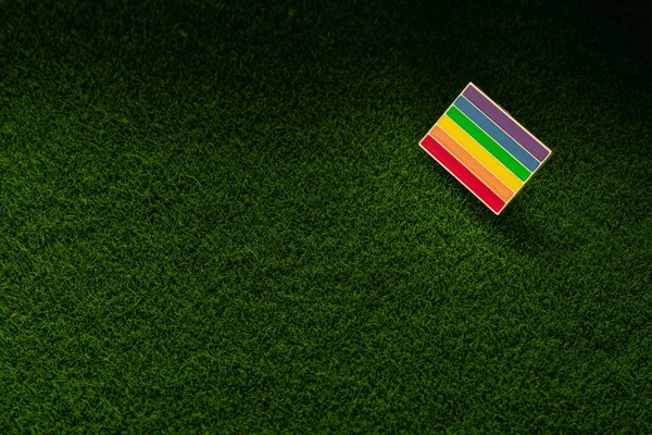 One badge lgbt society on a green grass background. Closeup. Macro. Tolerance concept. Minimal. Top view.