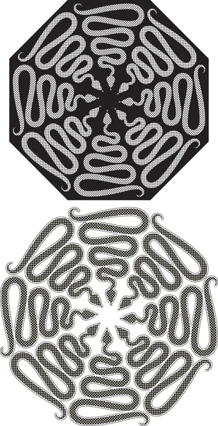 Patroon van slangen. zwart-wit teken in vorm octaëdrische — Stockvector