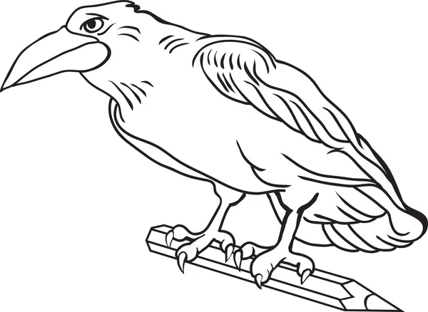 Contour drawing crow. Bird holds a pencil — Stock Vector