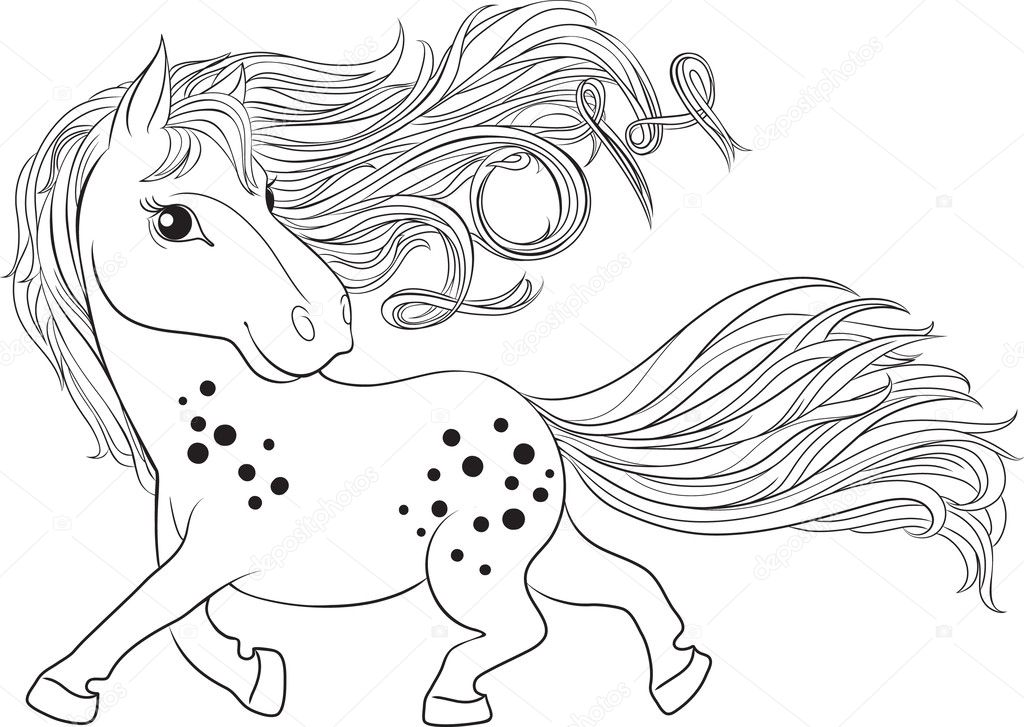 Foto Cavallo Con Criniera Disegno Disegno Di Un Cavallo
