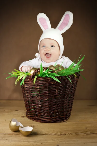 Vtipné Velikonoční zajíček v koši — Stock fotografie