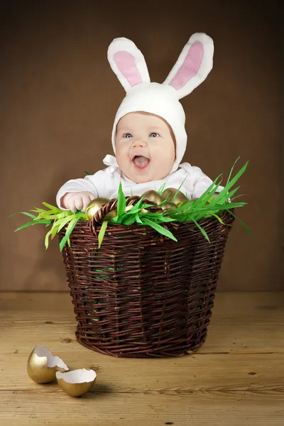 Roliga easter bunny i korgen — Stockfoto