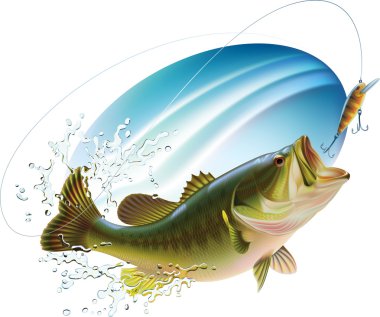 Largemouth bass catching a bite clipart