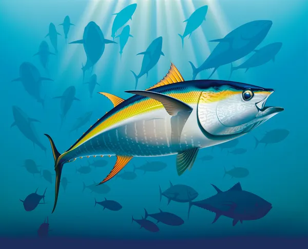 Shoal van geelvintonijn — Stockvector