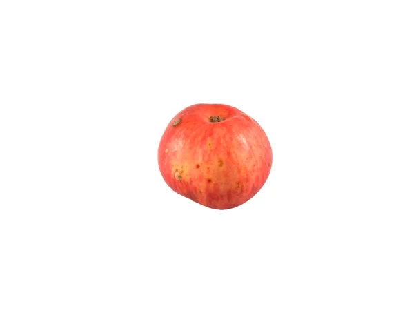 Moget rött äpple. isolerad på en vit bakgrund — Stockfoto
