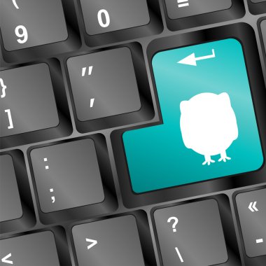 bilgisayar pc klavye üzerinde beyaz baykuş siluet