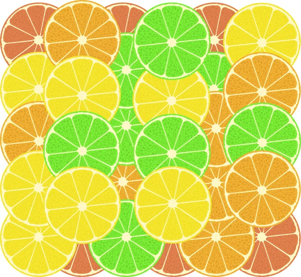 Fruits of an orange, a lemon, grapefruit and lime — Stock Photo, Image