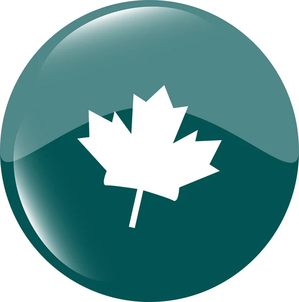 Іконка з кленового листя скляно-зеленої кнопки — стокове фото