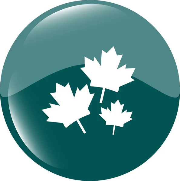 Maple leaf ikon zöld matrica — Stock Fotó