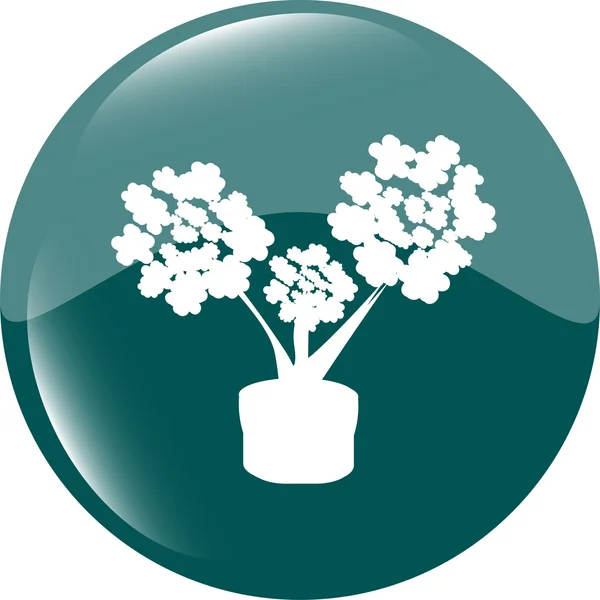 Blumen Symbol-Taste App Web — Stockfoto