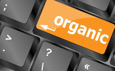 Yeşil klavye düğme Tarih organik kelime