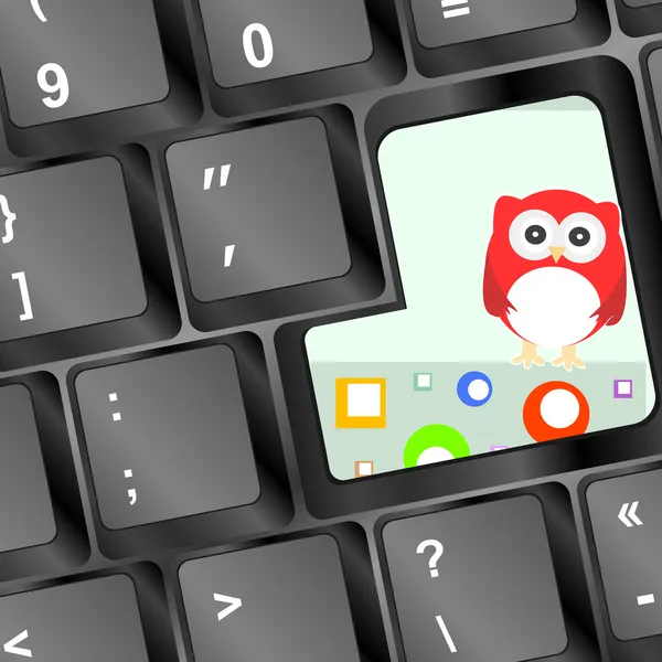 Owl on computer keyboard key with abstract circles — Stock Photo, Image