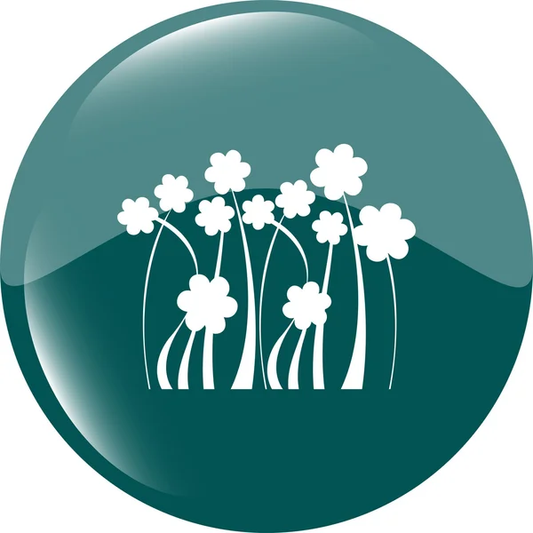 꽃 웹 아이콘 버튼 흰색 절연 — 스톡 사진