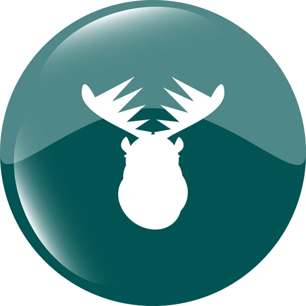 Deer head on web icon button isolated on white — Stock Photo, Image