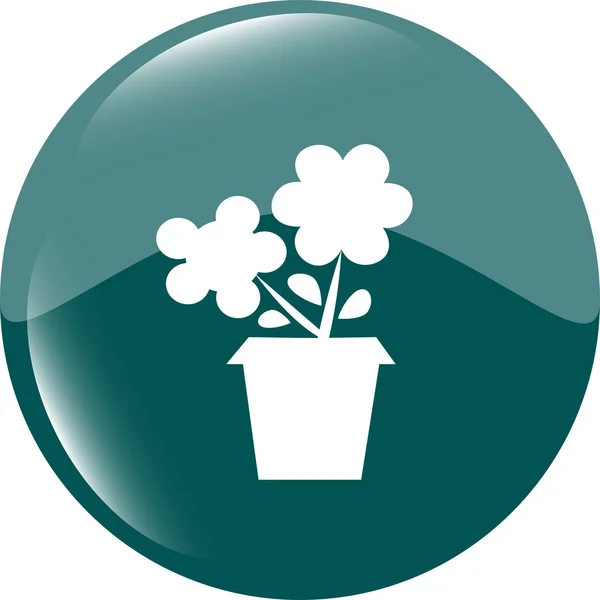 Blume Web-Buttons für Website oder App isoliert auf weiß — Stockfoto
