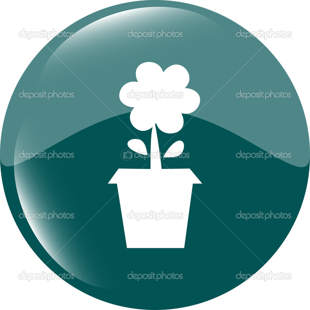 Plant in flower pot isolated on white