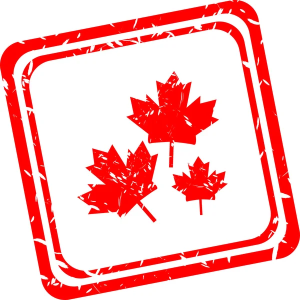 Stylized maple leaf. red web stamp icon — Stock Photo, Image