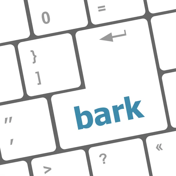 Bark ord på tastaturnøkkel, bærbar datamaskin – stockfoto