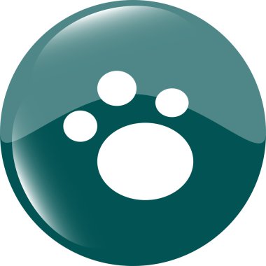 hayvan ayak izi parlak web simgesi üzerinde beyaz izole
