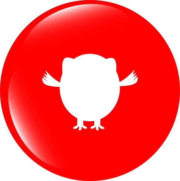 Coruja ícone botão isolado no branco — Fotografia de Stock