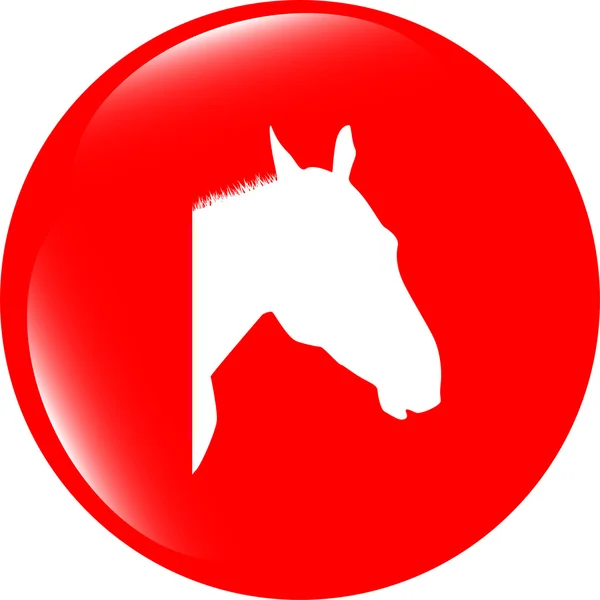 Horse sign button, web app icon — Stock Photo, Image