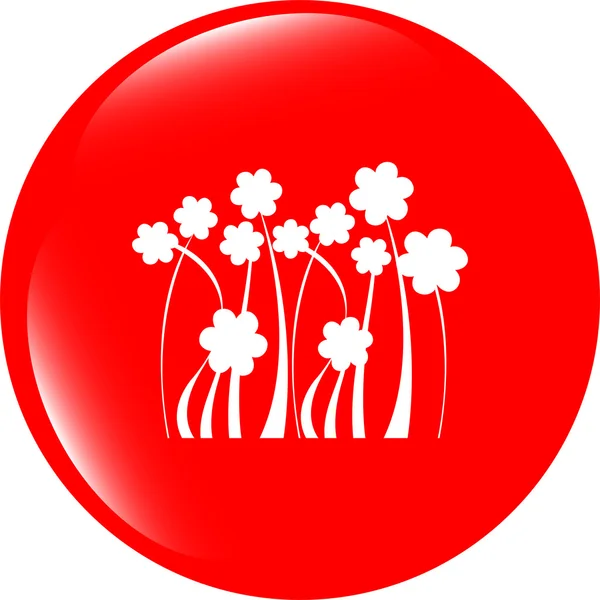 Botón icono web flor aislado en blanco — Foto de Stock