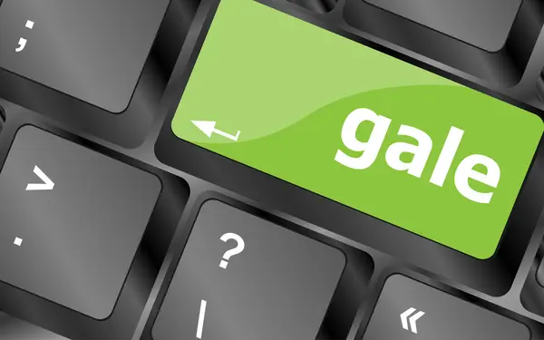 Gale word on keyboard key, notebook computer button — Stock Photo, Image