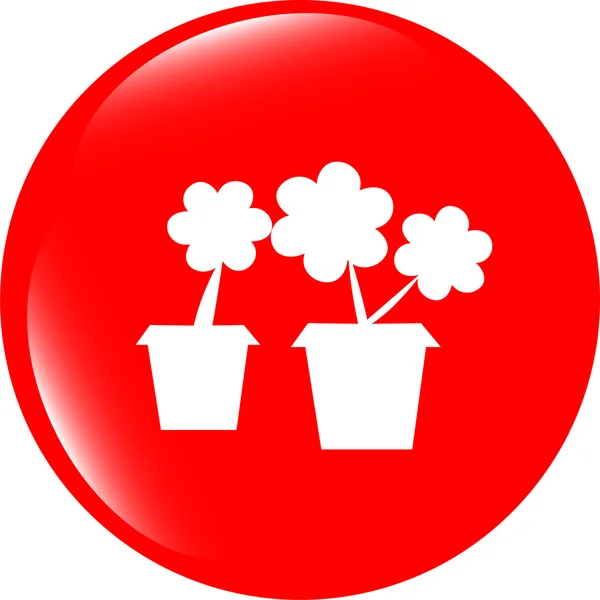 Vaso da fiori con pianta icona web isolato — Foto Stock
