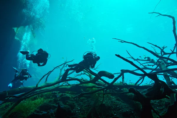 Cenote sott'acqua — Foto Stock