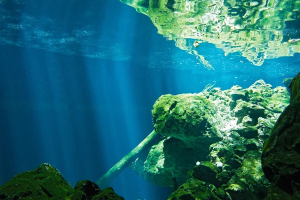 Cenote sott'acqua — Foto Stock