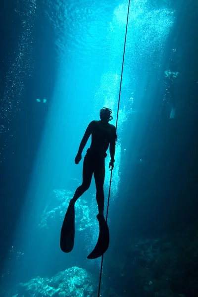 Freediver — 스톡 사진