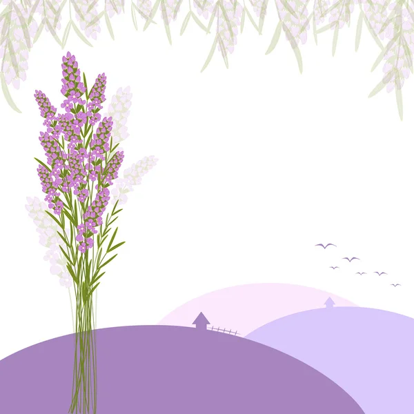 Flor de lavanda púrpura — Vector de stock