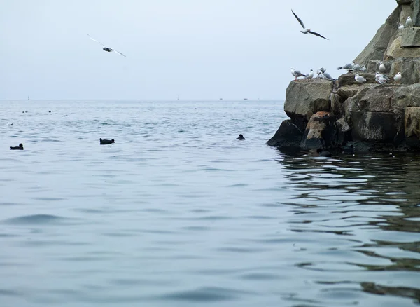Черное море — стоковое фото
