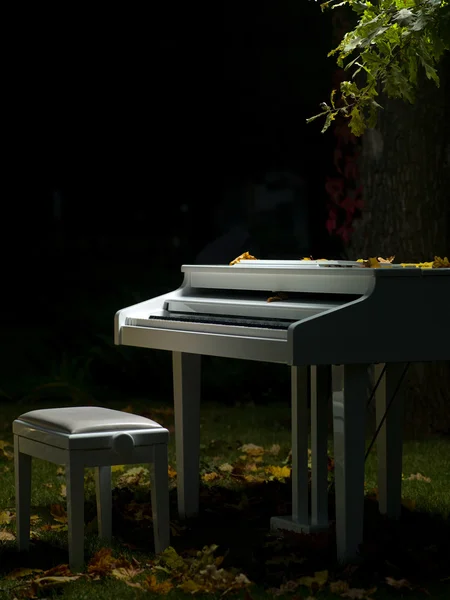 Piano y naturaleza — Foto de Stock