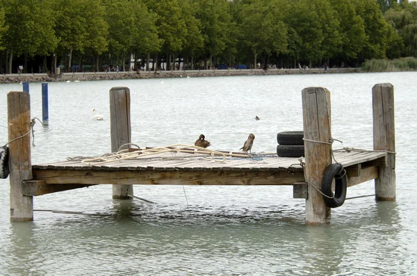 Schoenplaatjes op de kade — Stockfoto