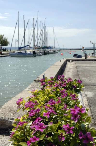 Seebrücke — Stockfoto