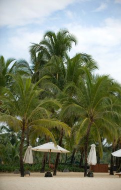 Goa içinde yatay