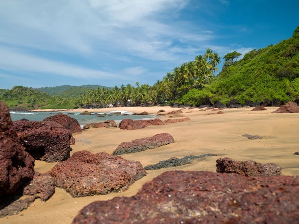 Praia em goa — Fotografia de Stock