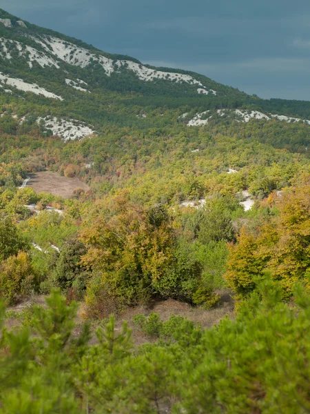 Paesaggio naturale — Foto Stock