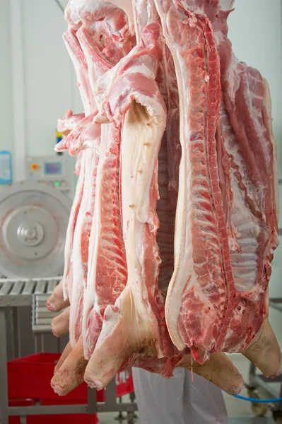 A slaughtered pig — Stock Photo, Image