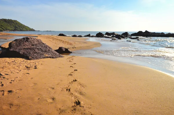 Strand med palmer — Stockfoto