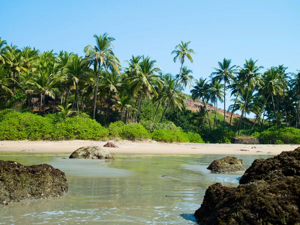 Praia com palmeiras — Fotografia de Stock