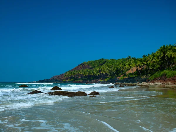 Praia com palmeiras — Fotografia de Stock