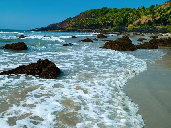 Playa con palmeras — Foto de Stock