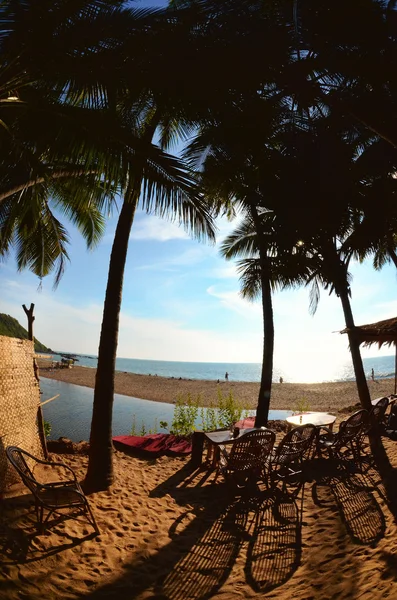 Spiaggia con palme — Foto Stock